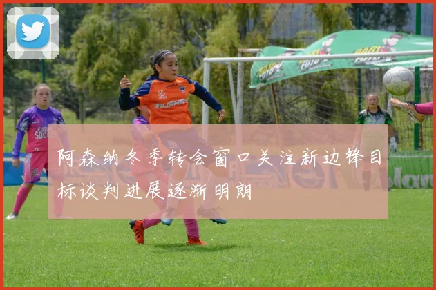 阿森纳冬季转会窗口关注新边锋目标谈判进展逐渐明朗