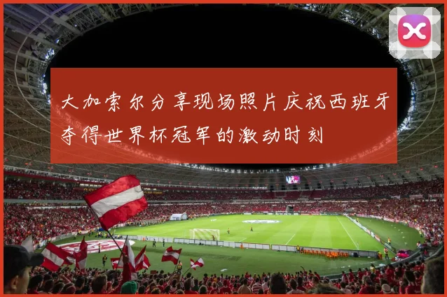大加索尔分享现场照片庆祝西班牙夺得世界杯冠军的激动时刻